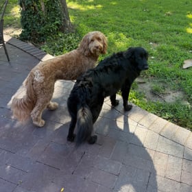 Sadie and Macie