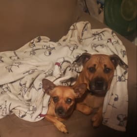 Bruno Giovanni Mars and Nikki Marie Constants Yanner