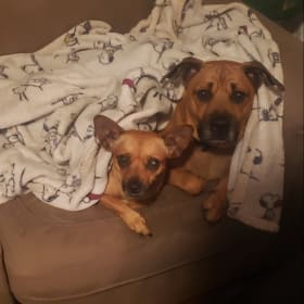 Nikki an Bruno