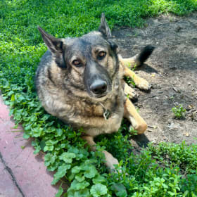 Skye