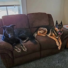 King and Bella