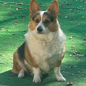 Ben