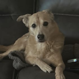 Bailey