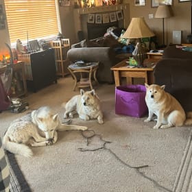 Lil Rose Atlas Freyja