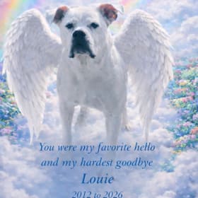 Louie