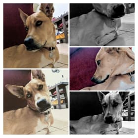 Walter