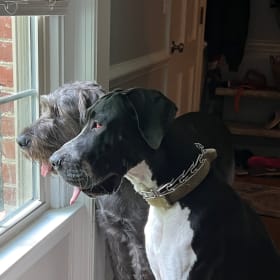 Winston and Daisy