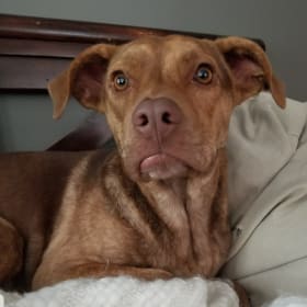 Ruby