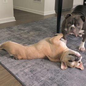 Garth and Louie