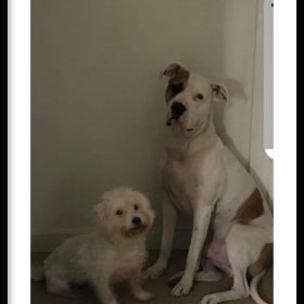 Coconut n Axel