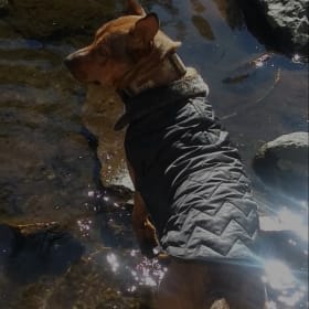 Lilly Bones