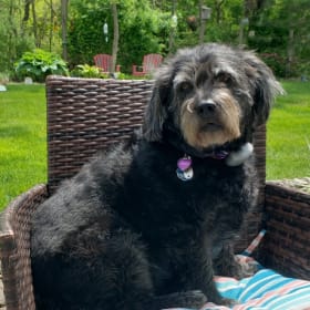 Sammie