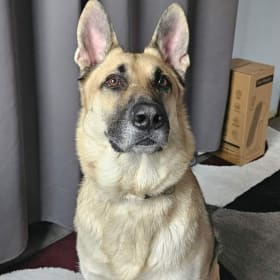 Sarge