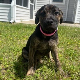 Coco