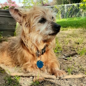Rusty