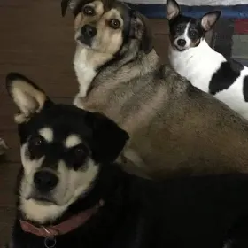 Boomer NoraJean Cissy