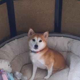 Chloe