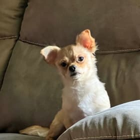 Charlie