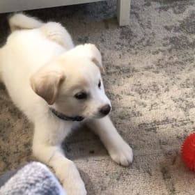 Marley