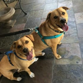 Buster and Jax
