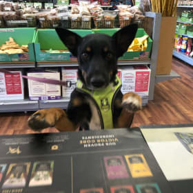 Max