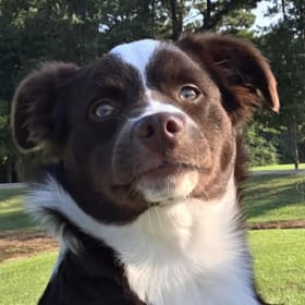 Chloe