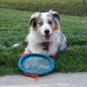 Dixie