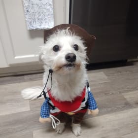 Bruno