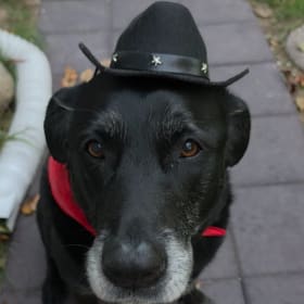 Max