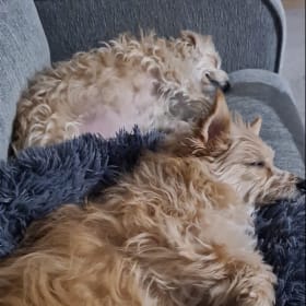 Archie Tilly