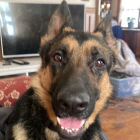 Zoey