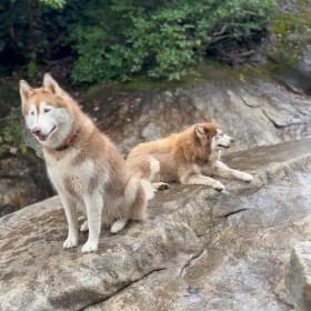 Pluto and Diva