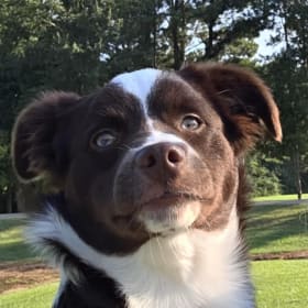 Chloe