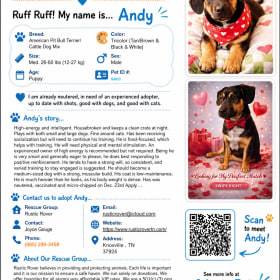 Pup pup Andy