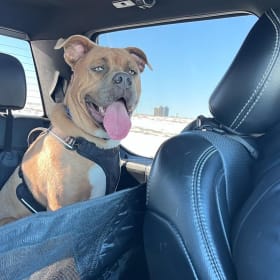 Diesel