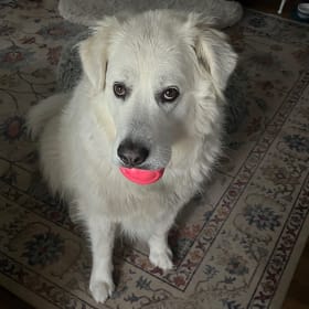 Della
