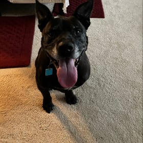 Milo