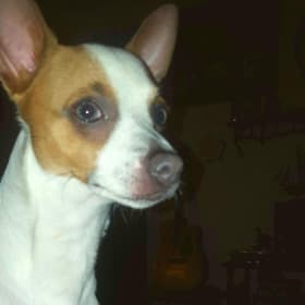 Rueben