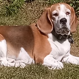 Tucker