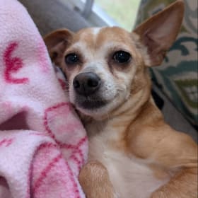 Annabelle-Lee