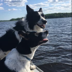 Scrappy and Moose
