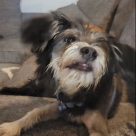 Tango