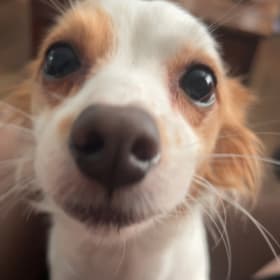 Audrey