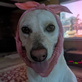 Cinnamon
