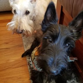 Maude and Finnegan