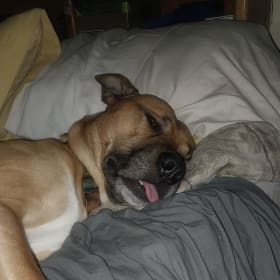Walter