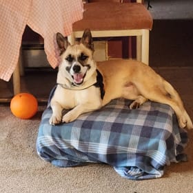 Mochi