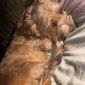 Roxy