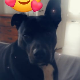 Maggie