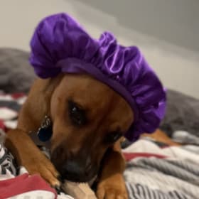 Boo